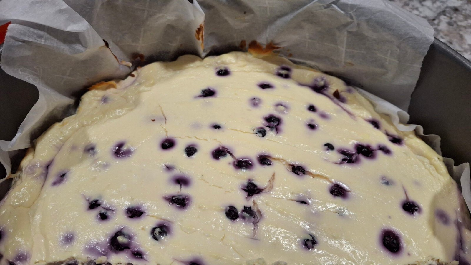 Homemade high-protein cheesecake with fresh blueberries baked throughout