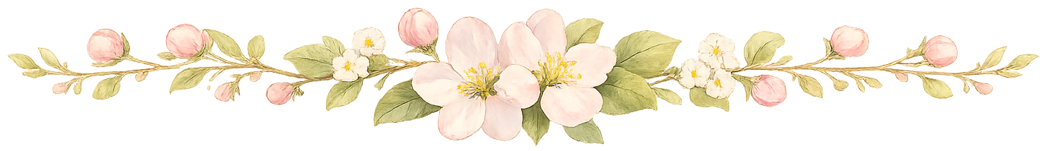 Delicate watercolor divider featuring soft pink and white apple blossoms with muted green leaves arranged in a horizontal floral design.