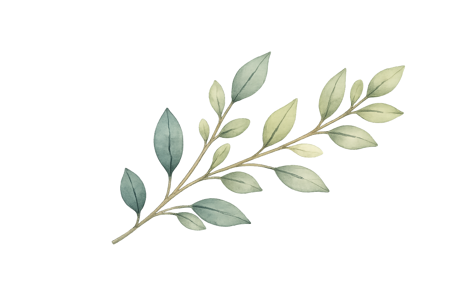 Delicate watercolor illustration of a leafy botanical branch with soft green and blue leaves on a transparent background.